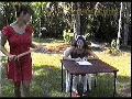 preview pic FullScreenClips.com
