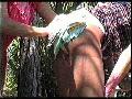 preview pic FullScreenClips.com