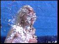 preview pic FullScreenClips.com