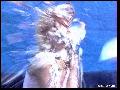 preview pic FullScreenClips.com