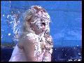 preview pic FullScreenClips.com