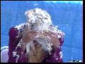 preview pic FullScreenClips.com