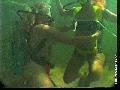 preview pic FullScreenClips.com