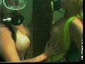 preview pic FullScreenClips.com