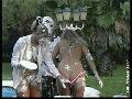 preview pic FullScreenClips.com