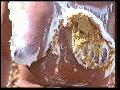 preview pic FullScreenClips.com
