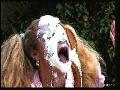preview pic FullScreenClips.com