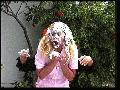 preview pic FullScreenClips.com