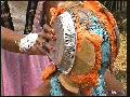 preview pic FullScreenClips.com