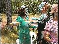 preview pic FullScreenClips.com