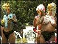 preview pic FullScreenClips.com