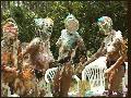 preview pic FullScreenClips.com